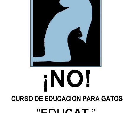 curso_educacion