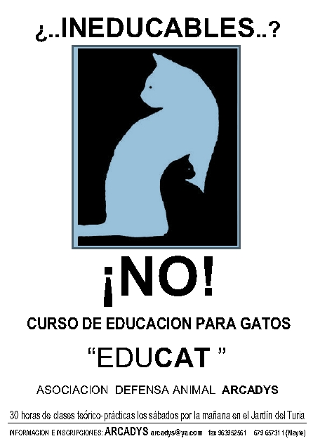 curso_educacion