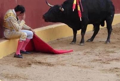 torero1