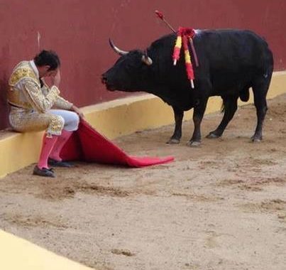 torero1
