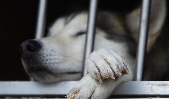 fotonoticia_20140515152253_644