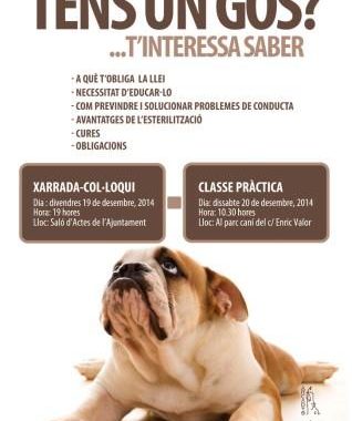 CampanyaObligacionsGosos_2014_def_2_-_copia