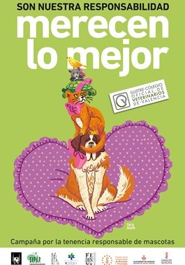 Cartel_Campau00F1a_ICOVV_Redes_red